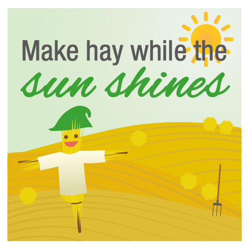 make hay while the sun shines